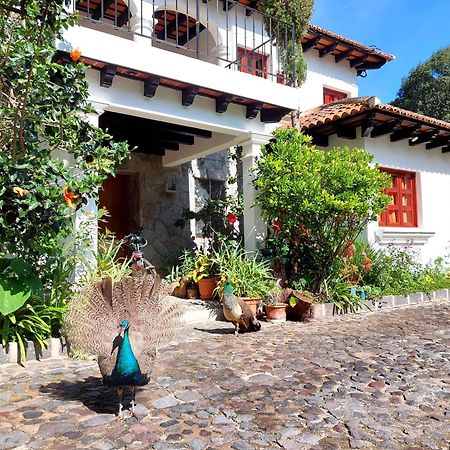 Hotel Y Jardines Casa Buho Antigua Екстериор снимка