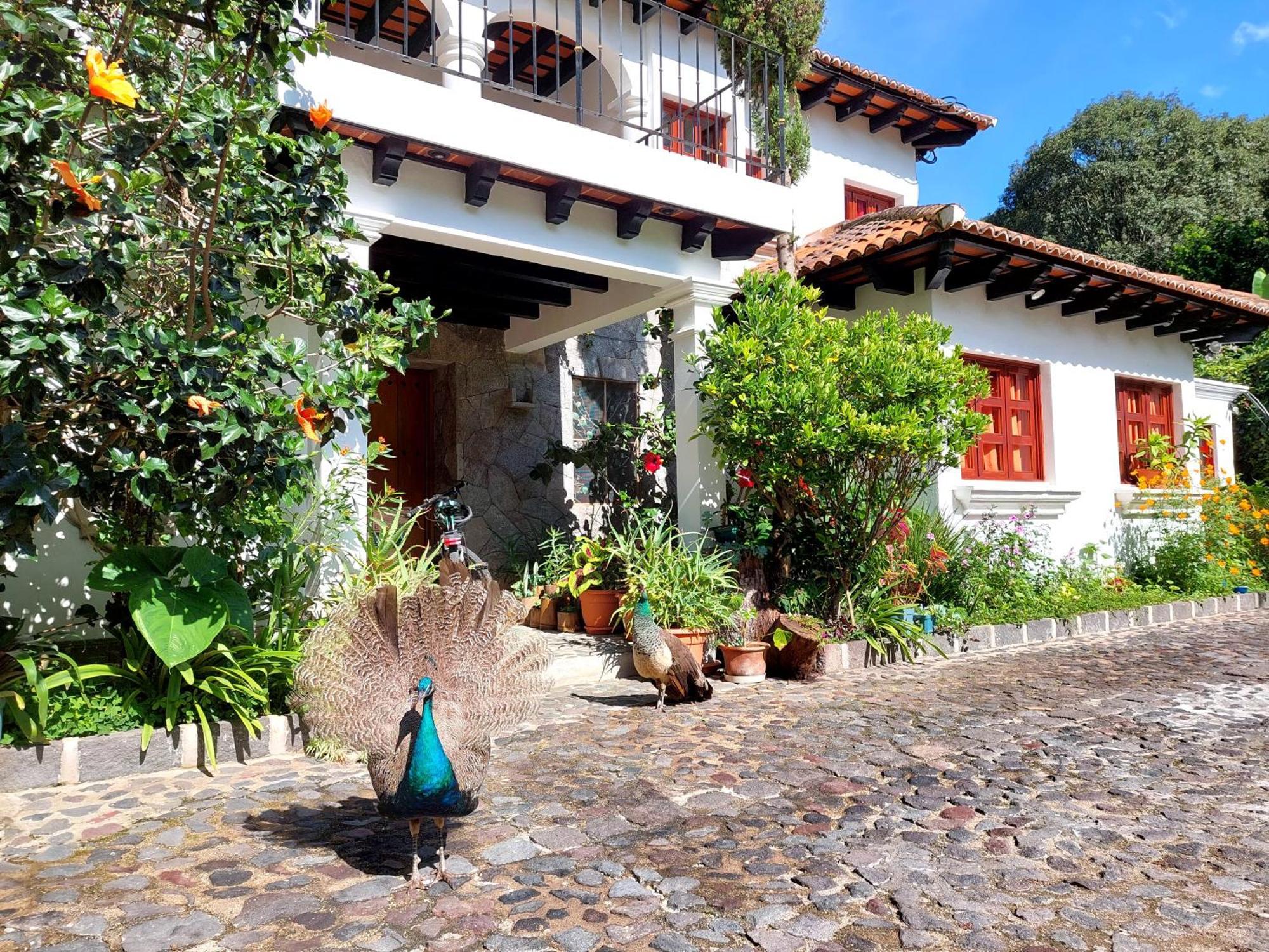 Hotel Y Jardines Casa Buho Antigua Екстериор снимка