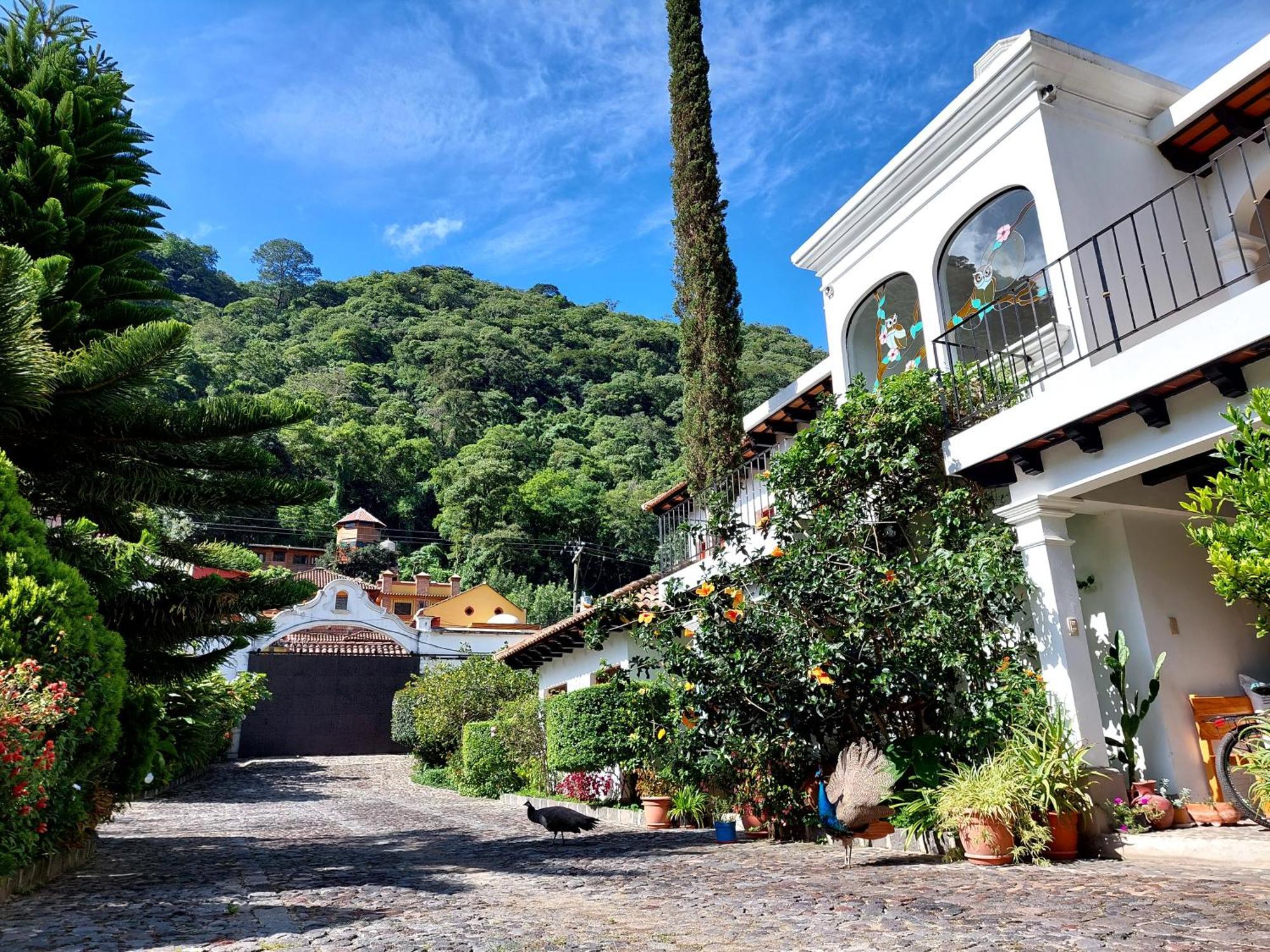 Hotel Y Jardines Casa Buho Antigua Екстериор снимка
